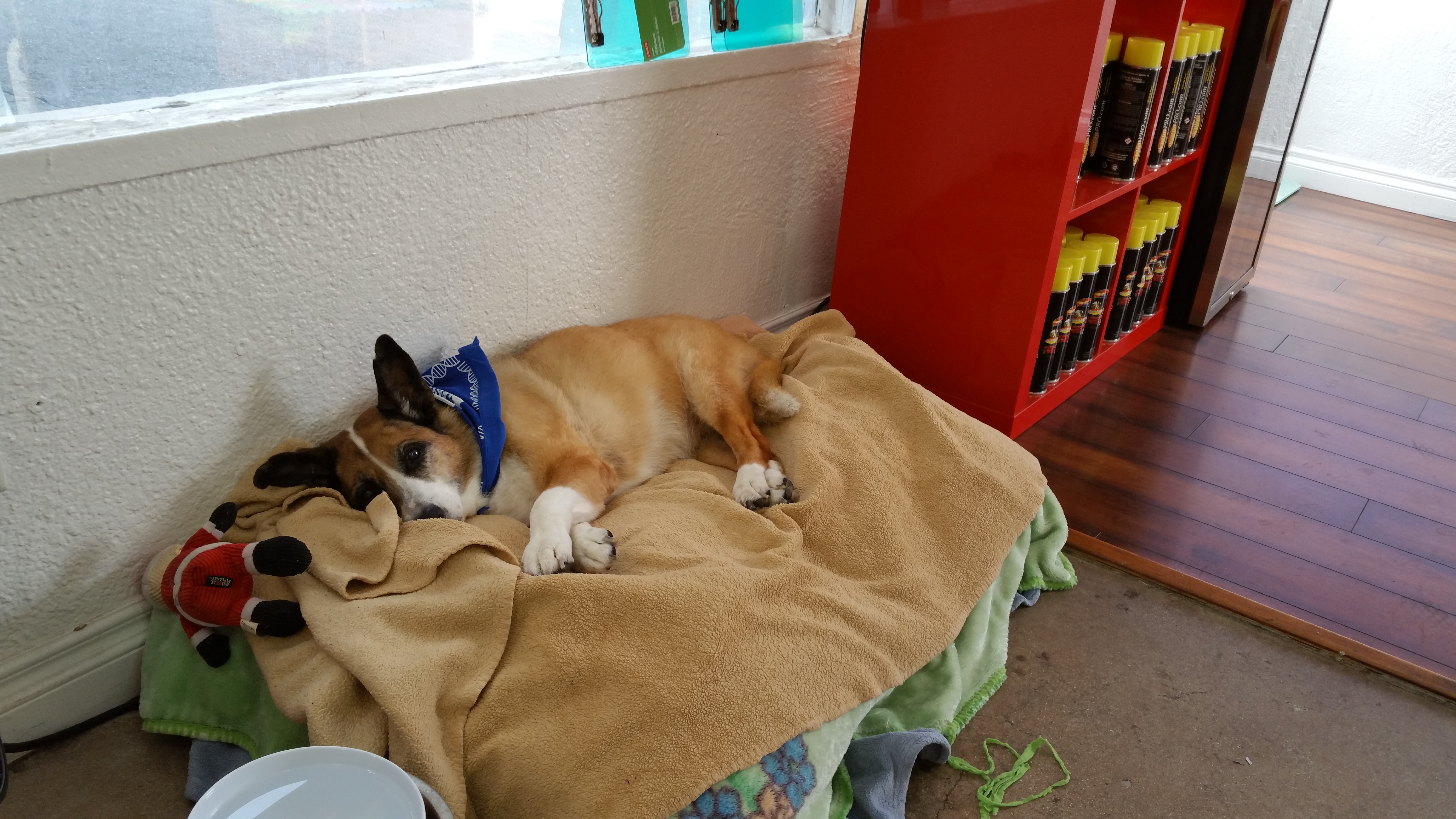 At work by my side