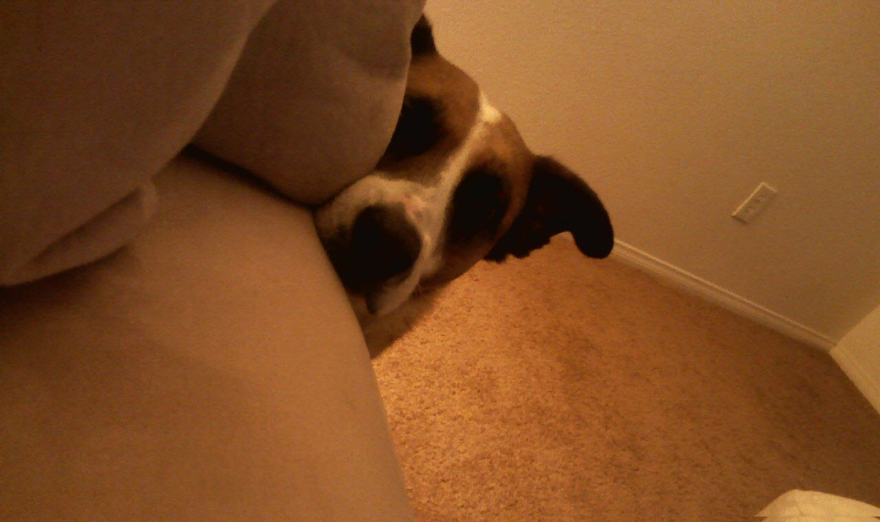 Hide n seek play