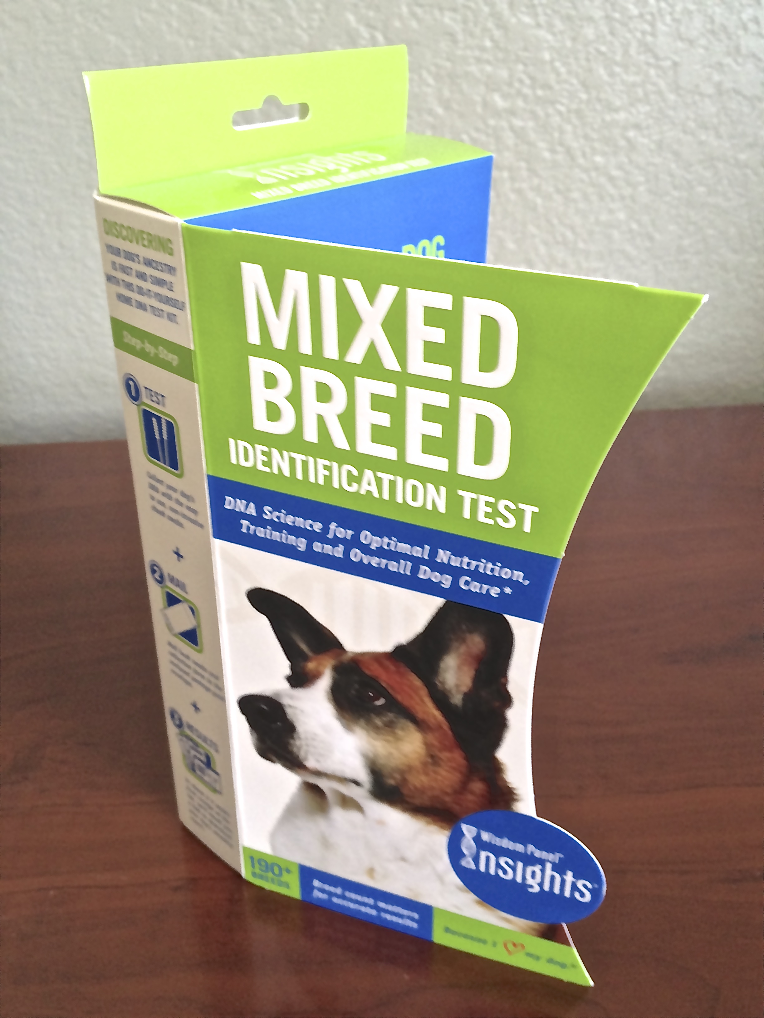Bambi makes the cover for Wisdom Panel in 2010