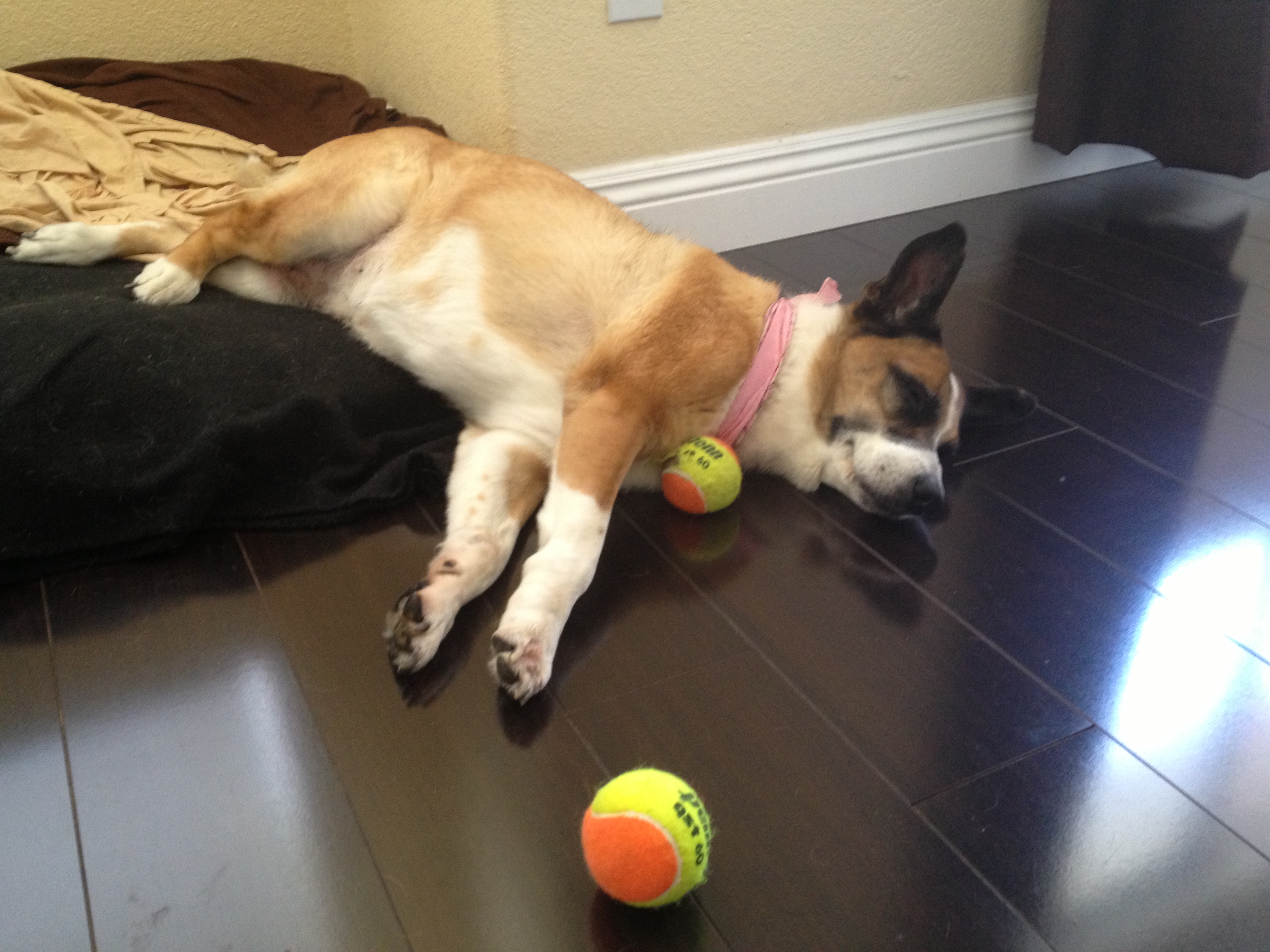 Nap time - bed optional